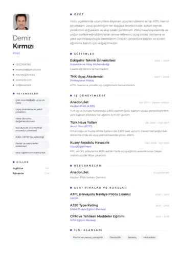 Pilot CV Örnekleri cv indir